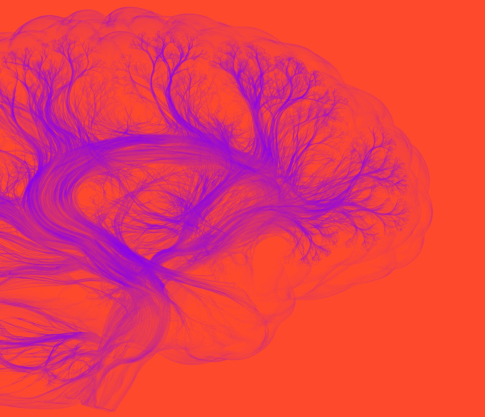 Artwork from the company&rsquo;s website: a side view of a brain drawn as violet fibre tracts on a coral ground.