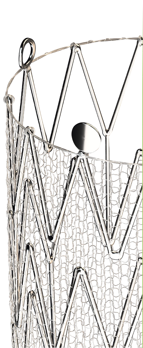 A CGuard stent: a zigzag nitinol frame with a fine knitted mesh sleeve around it, shown against white.